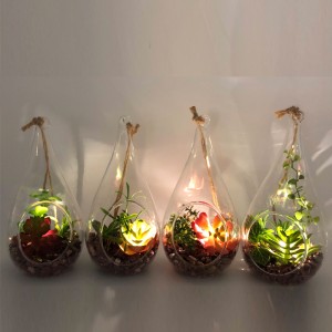 Plantes succulentes artificielles décoratives de table en verre de LED avec le vase d'affichage de globe