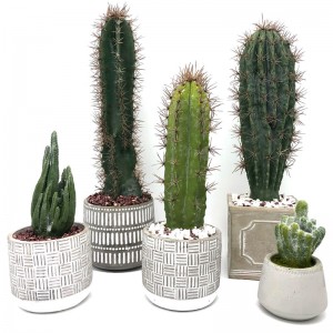 Maison ou bureau artificiel moderne de cactus dans la décoration succulente de pot décoratif